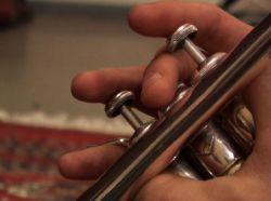 Trompette close-up